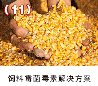 ���ù���ؽ�Q����